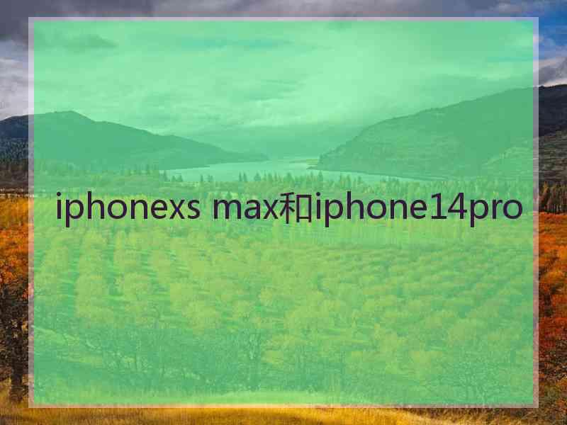 iphonexs max和iphone14pro