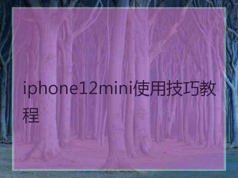 iphone12mini使用技巧教程