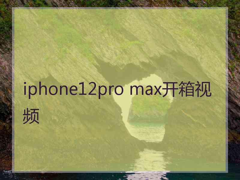 iphone12pro max开箱视频