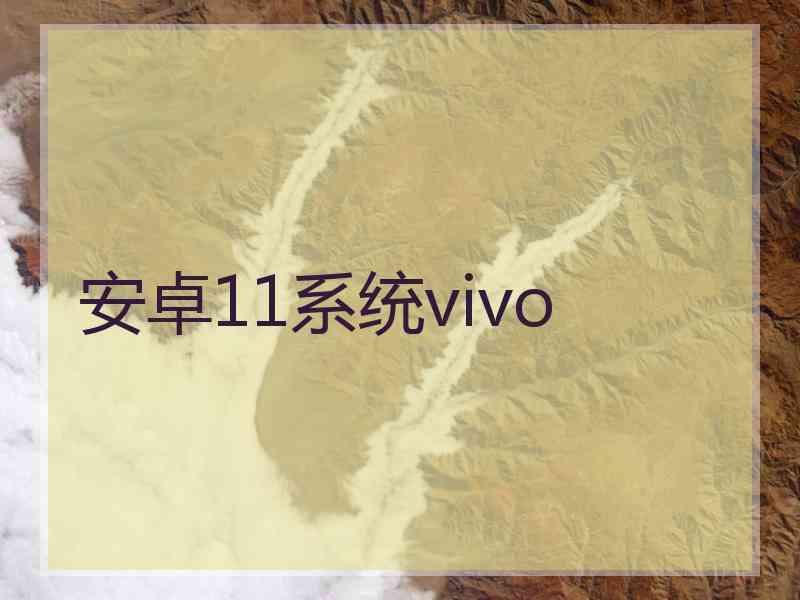 安卓11系统vivo