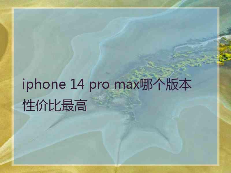 iphone 14 pro max哪个版本性价比最高