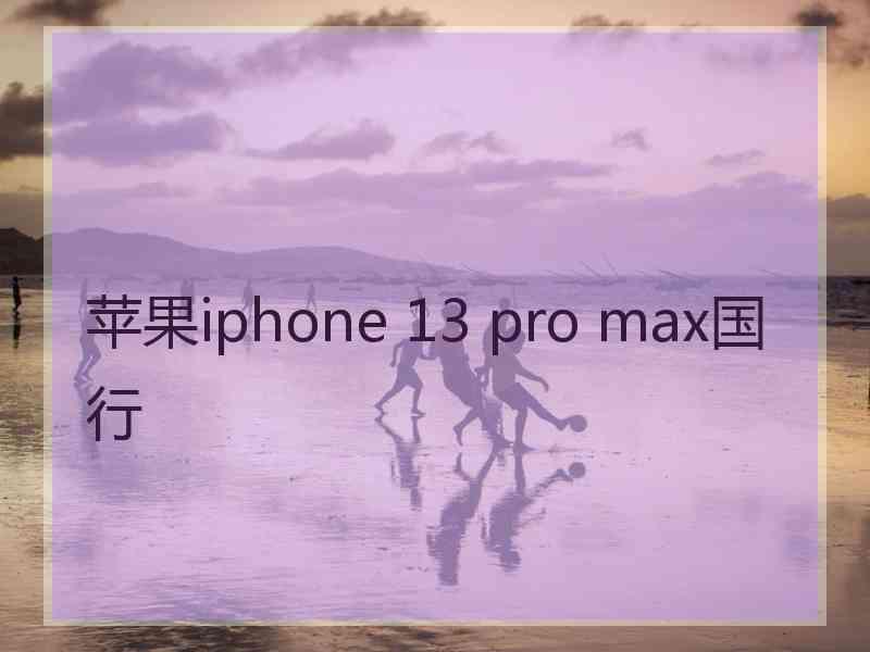 苹果iphone 13 pro max国行