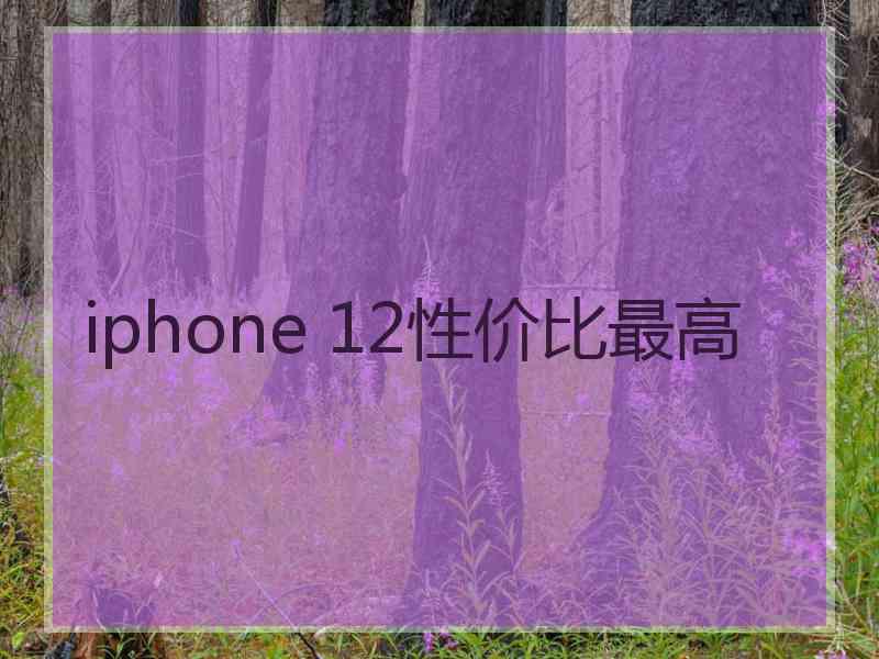 iphone 12性价比最高