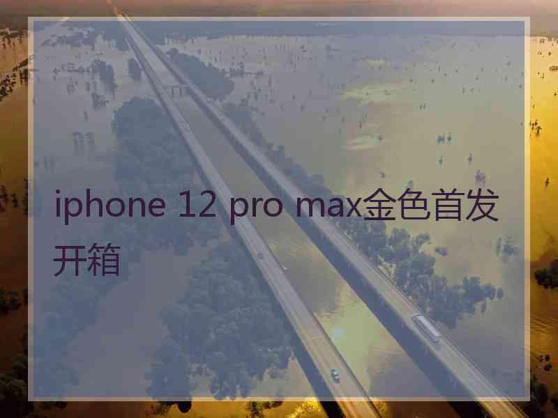 iphone 12 pro max金色首发开箱