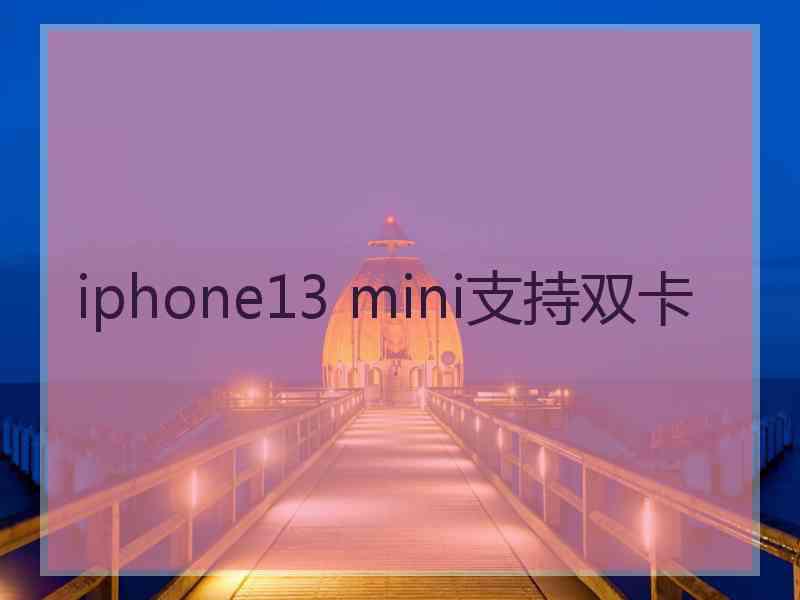 iphone13 mini支持双卡