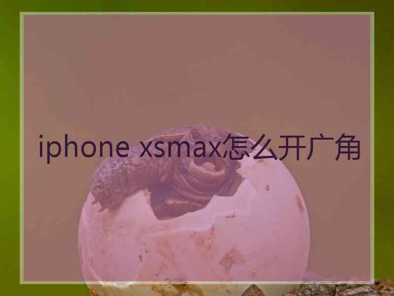 iphone xsmax怎么开广角