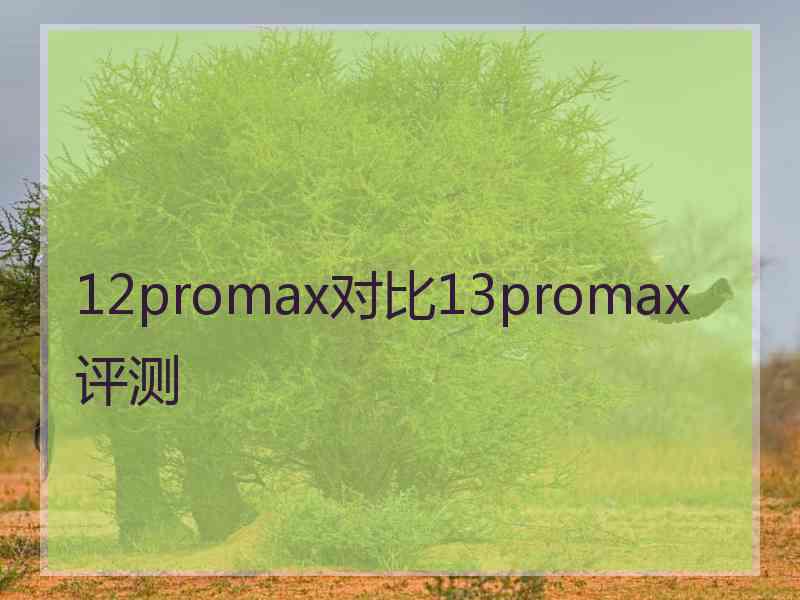 12promax对比13promax评测