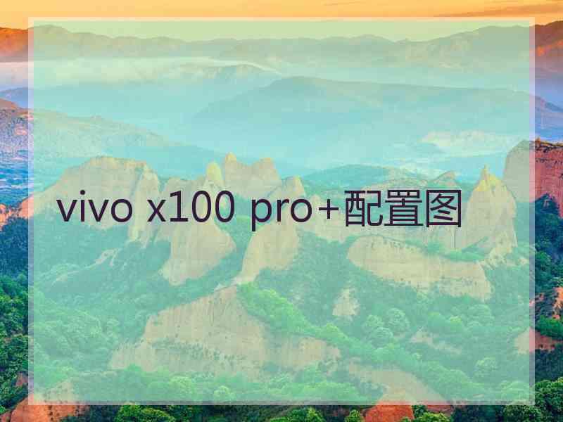 vivo x100 pro+配置图