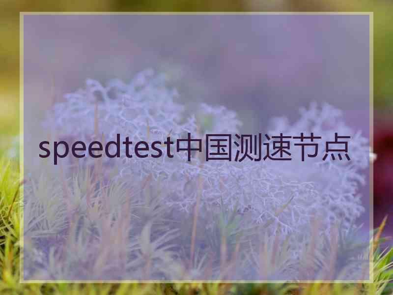 speedtest中国测速节点