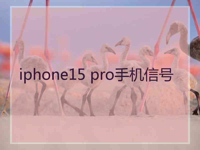 iphone15 pro手机信号