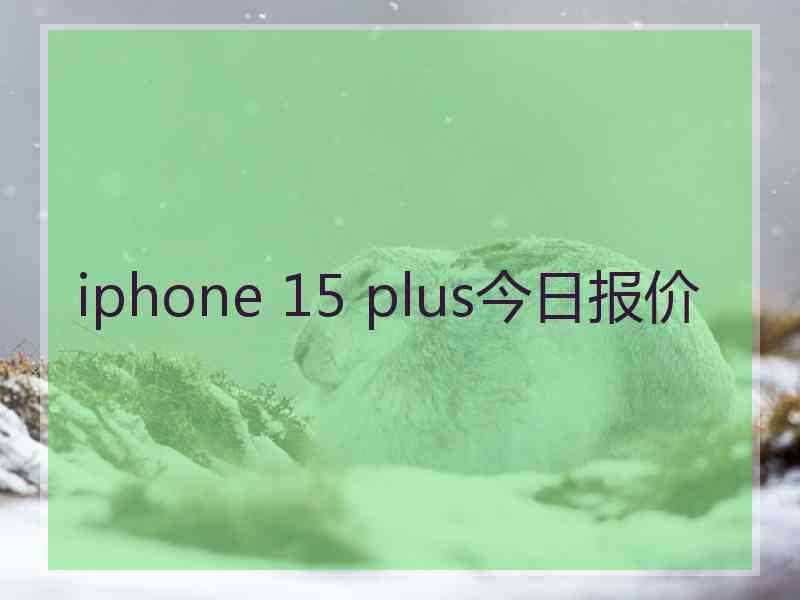 iphone 15 plus今日报价