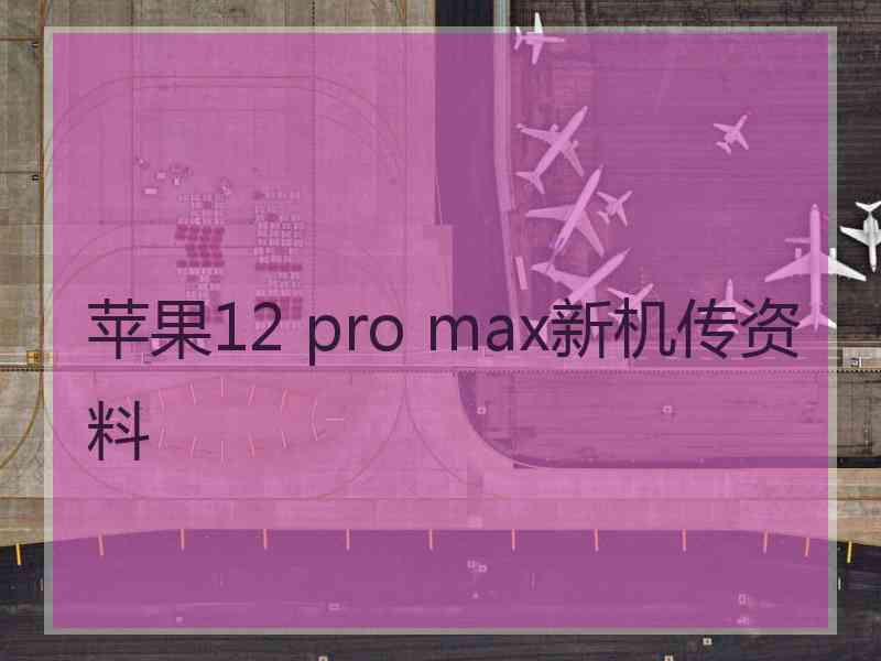 苹果12 pro max新机传资料