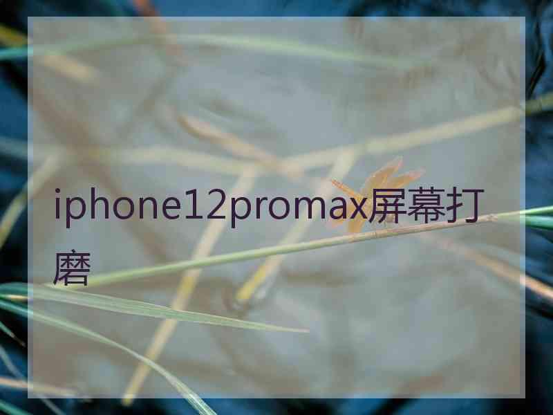 iphone12promax屏幕打磨