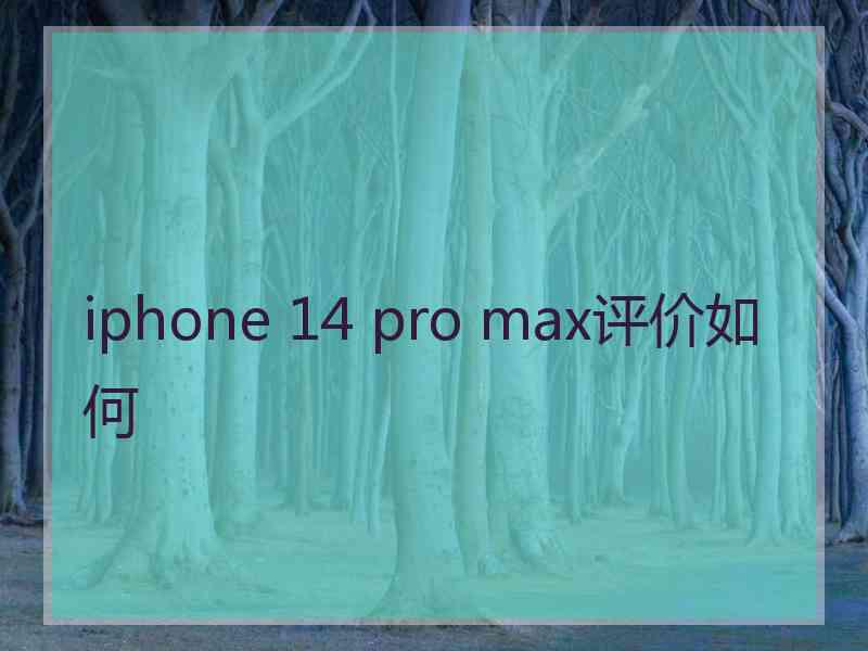 iphone 14 pro max评价如何