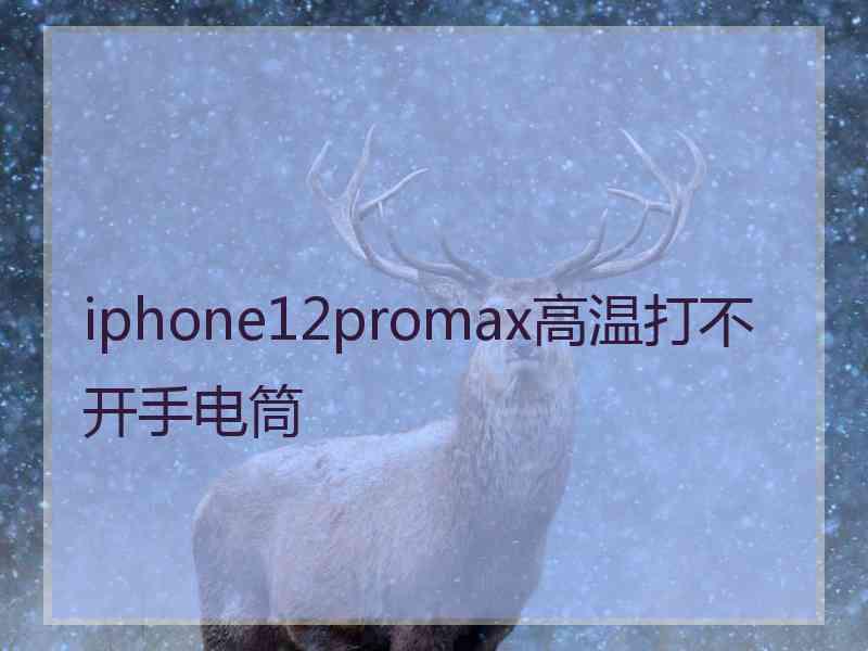 iphone12promax高温打不开手电筒