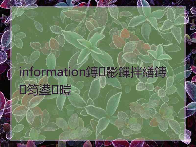 information鏄彲鏁拌繕鏄笉鍙暟