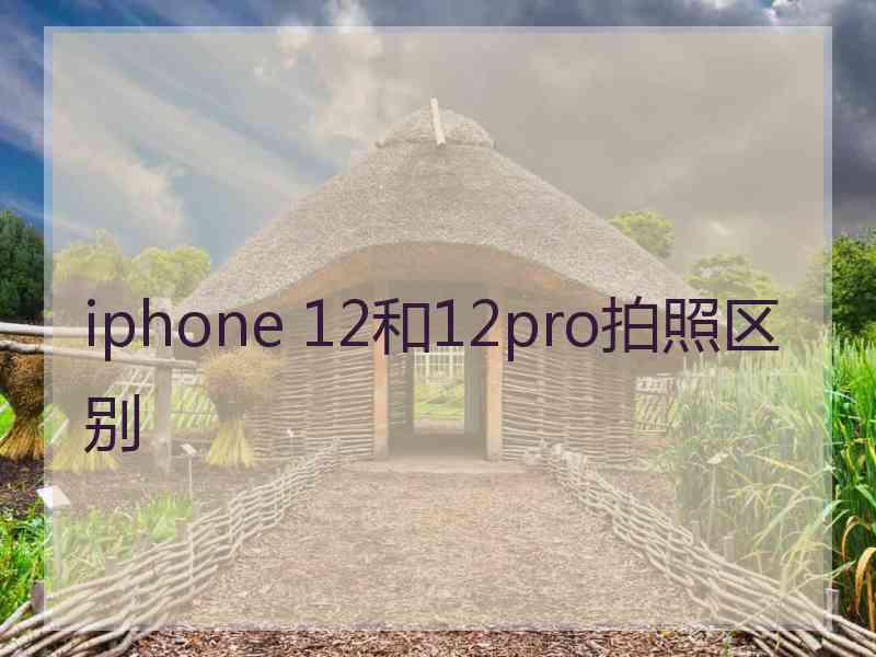 iphone 12和12pro拍照区别