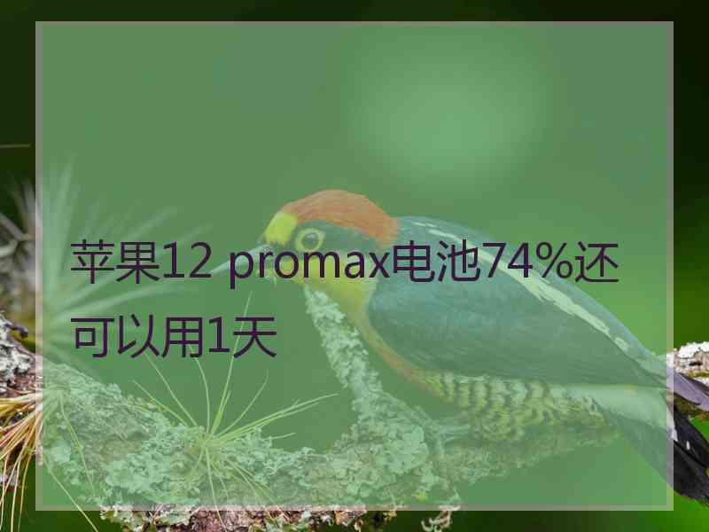 苹果12 promax电池74%还可以用1天