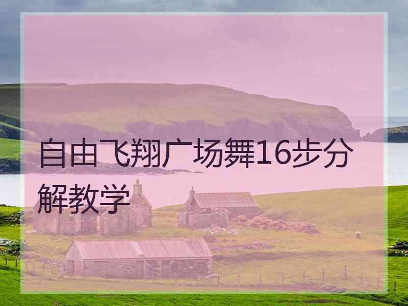 自由飞翔广场舞16步分解教学