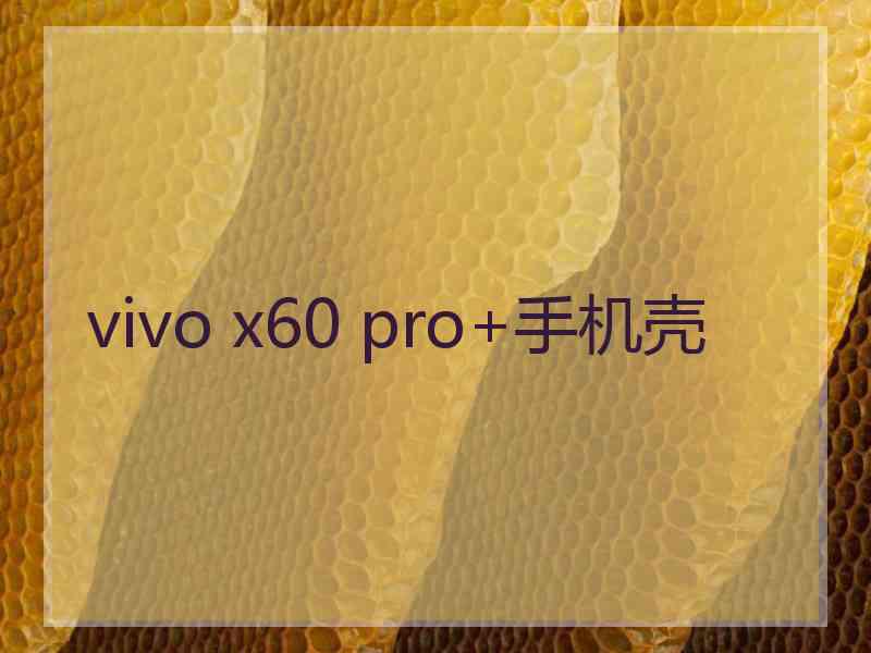 vivo x60 pro+手机壳