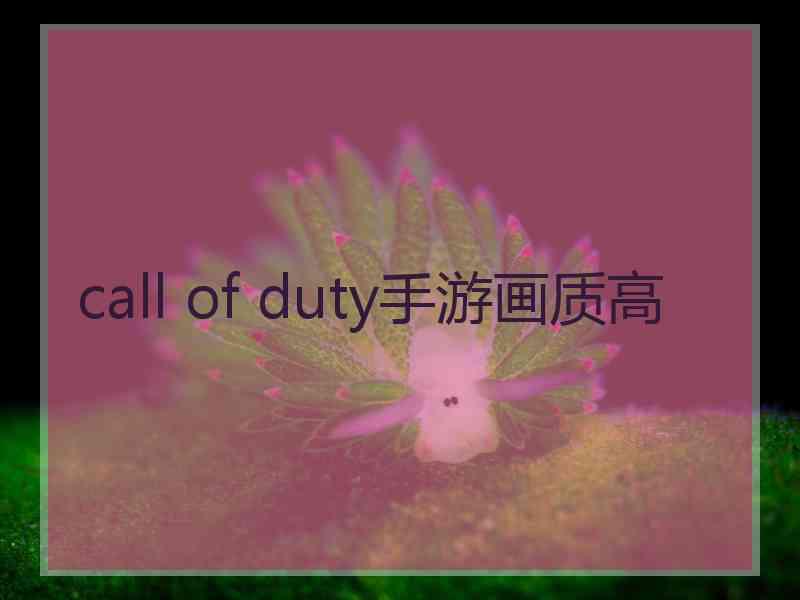 call of duty手游画质高