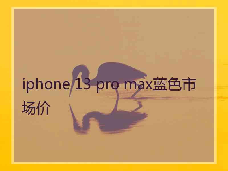 iphone 13 pro max蓝色市场价