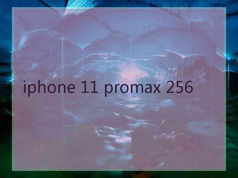 iphone 11 promax 256