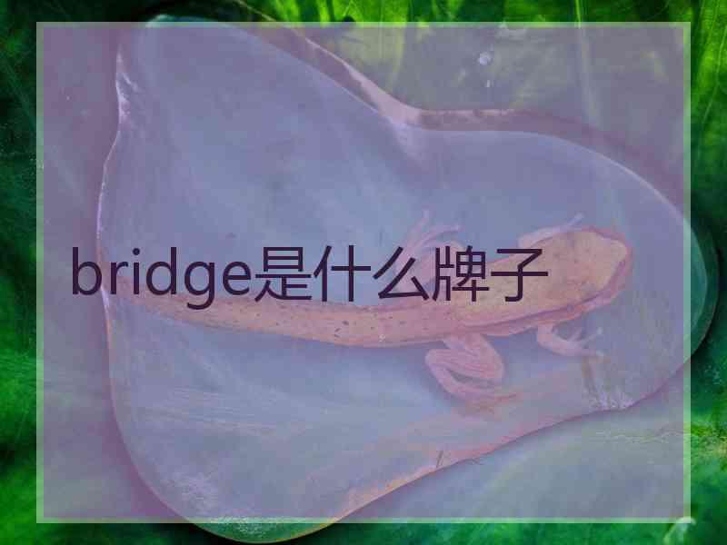 bridge是什么牌子