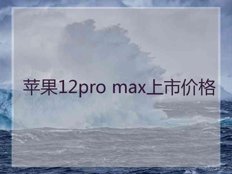 苹果12pro max上市价格