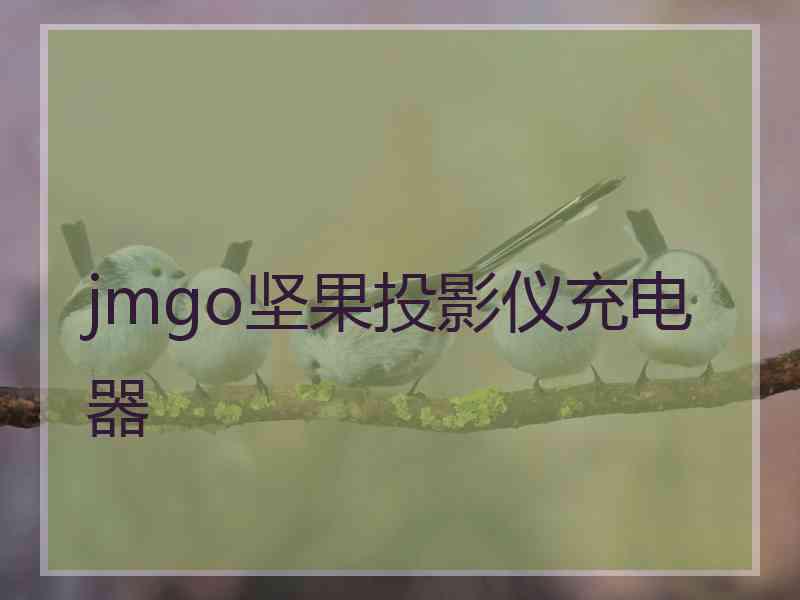 jmgo坚果投影仪充电器