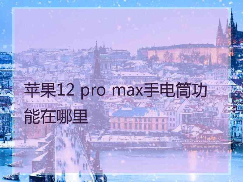 苹果12 pro max手电筒功能在哪里