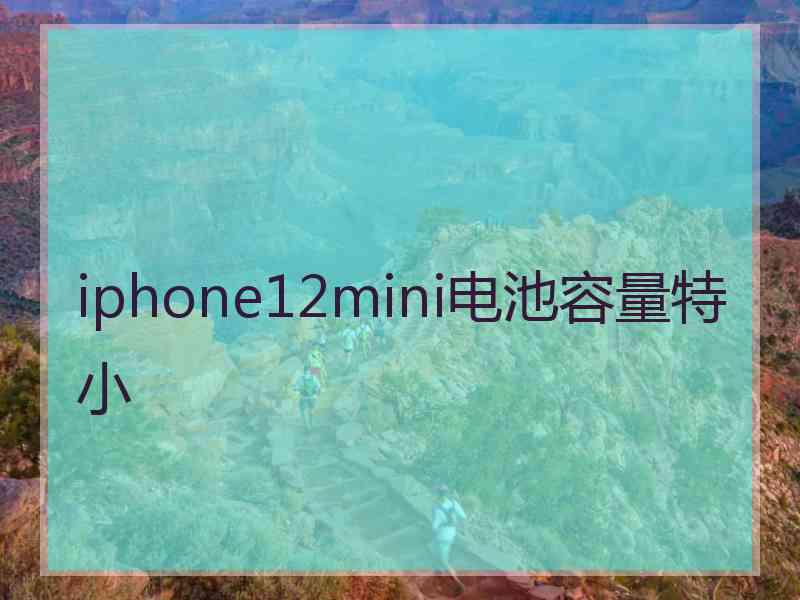 iphone12mini电池容量特小