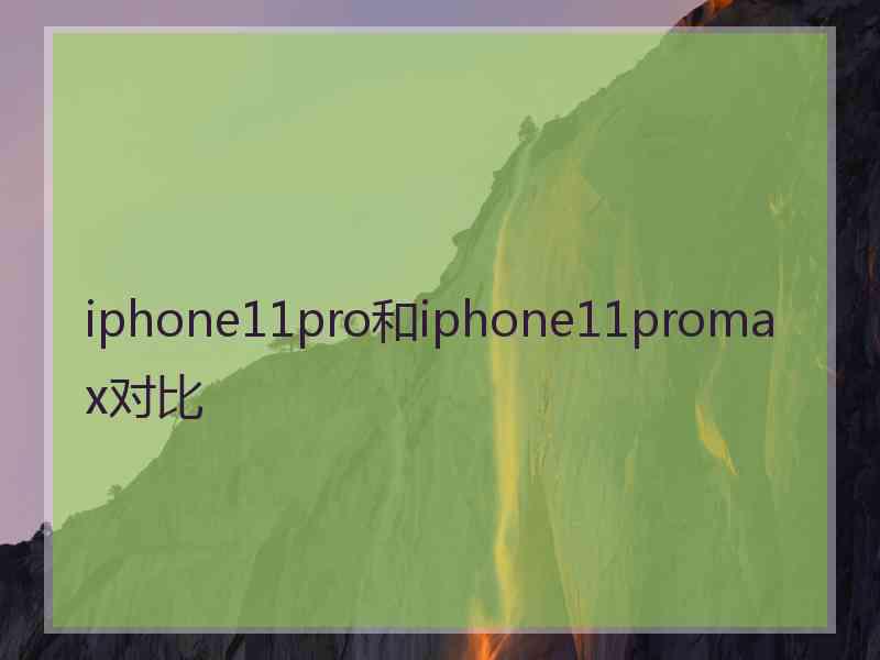 iphone11pro和iphone11promax对比