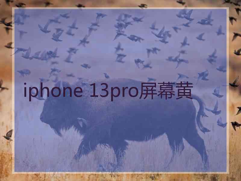 iphone 13pro屏幕黄