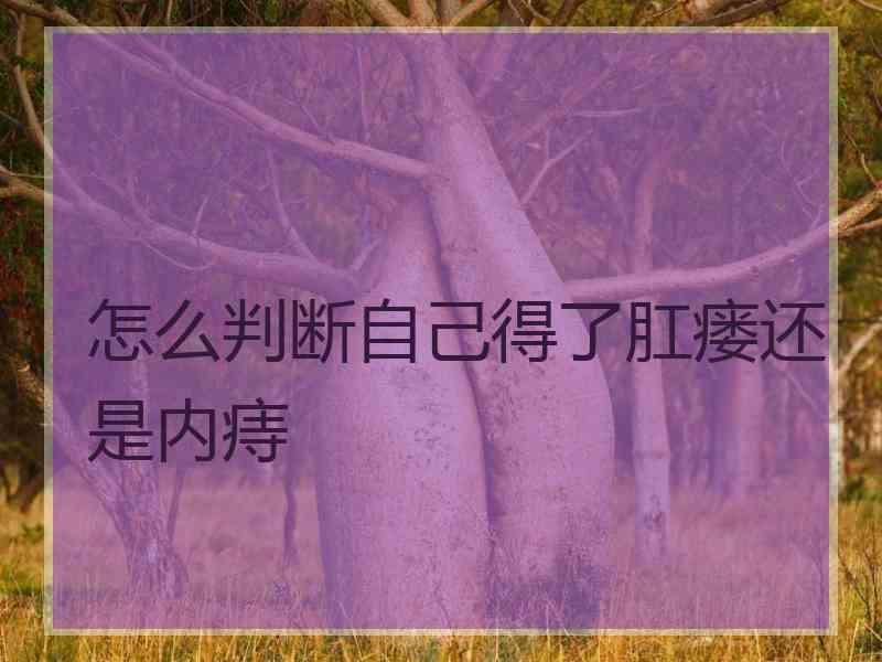 怎么判断自己得了肛瘘还是内痔