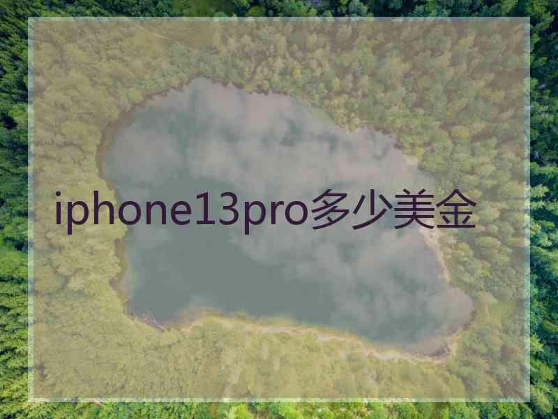 iphone13pro多少美金