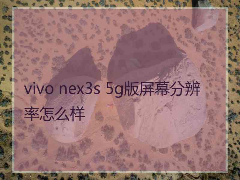 vivo nex3s 5g版屏幕分辨率怎么样