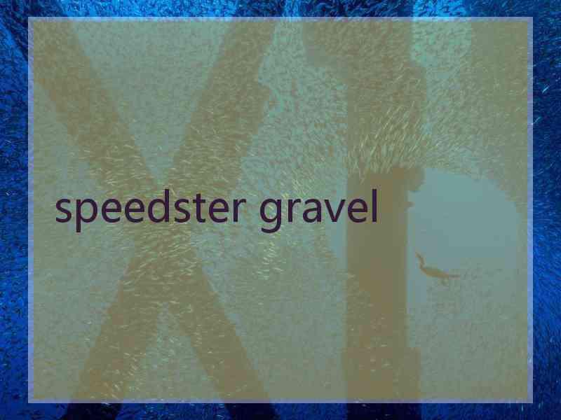 speedster gravel