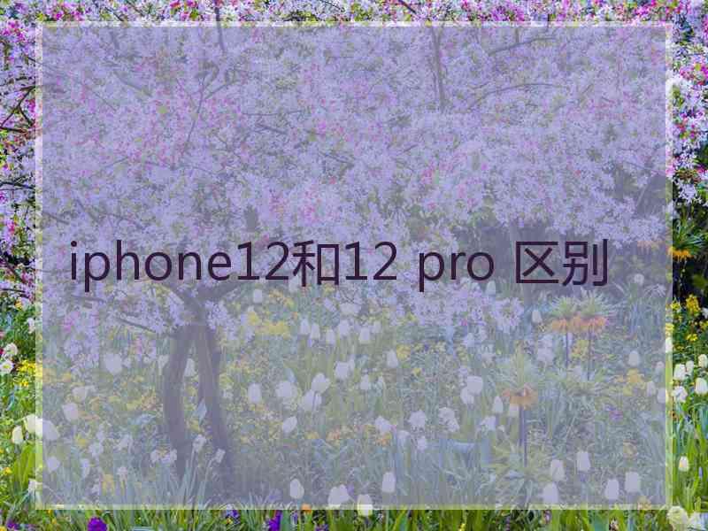 iphone12和12 pro 区别