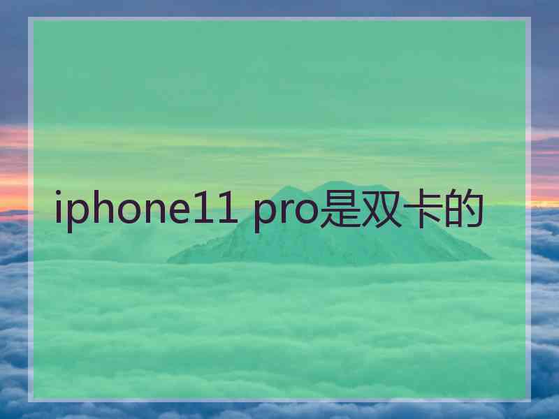 iphone11 pro是双卡的