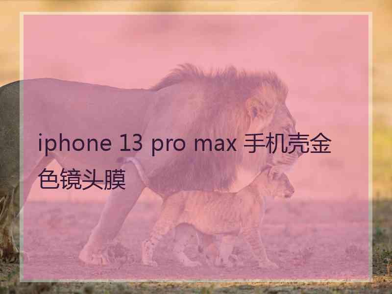 iphone 13 pro max 手机壳金色镜头膜