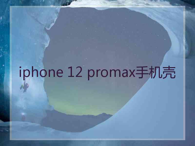 iphone 12 promax手机壳