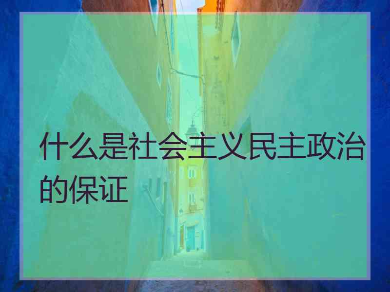 什么是社会主义民主政治的保证