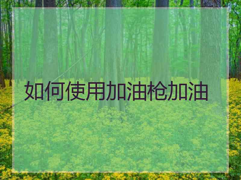 如何使用加油枪加油