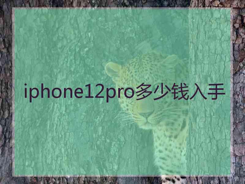 iphone12pro多少钱入手