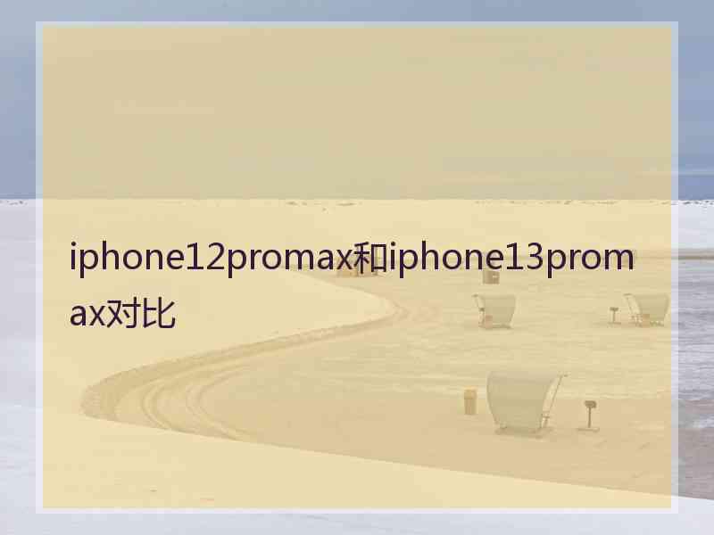 iphone12promax和iphone13promax对比