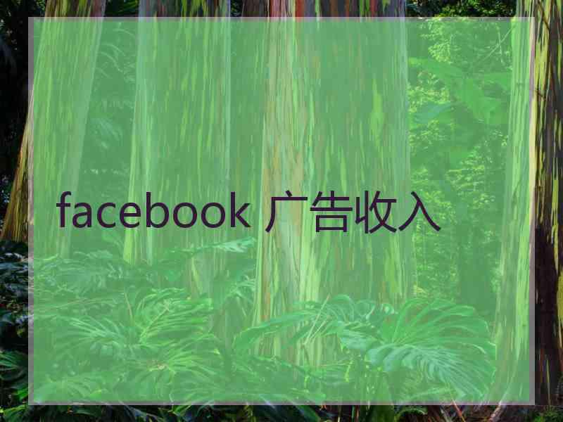 facebook 广告收入