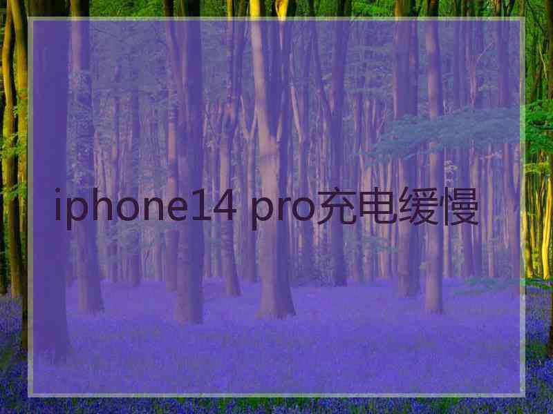 iphone14 pro充电缓慢