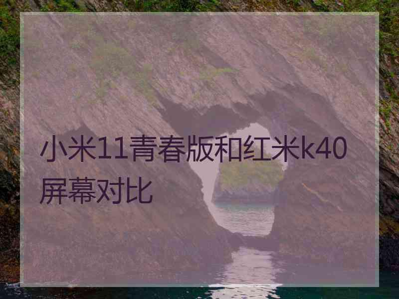 小米11青春版和红米k40屏幕对比