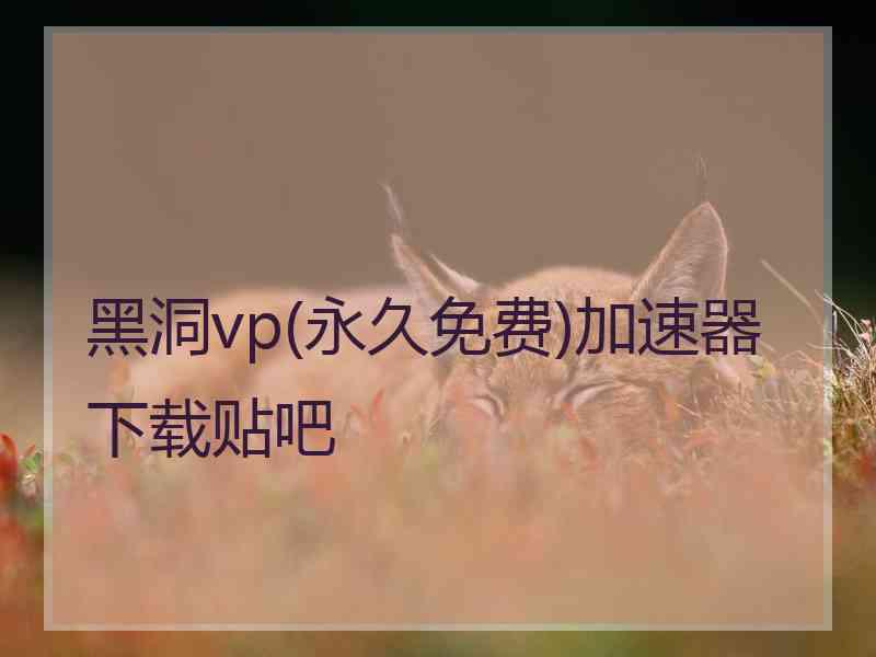 黑洞vp(永久免费)加速器下载贴吧